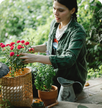 Garden Image
