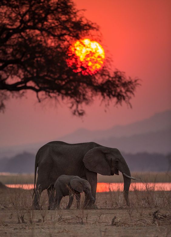 Africa
