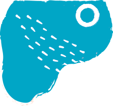 shape